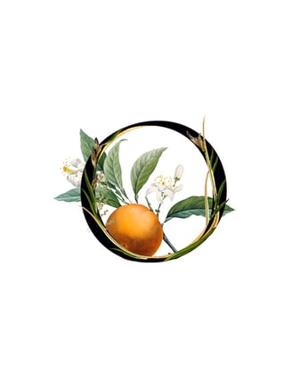 Orange Blossom Key Ingredient